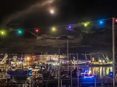 a group of boats docked in a harbor at night at Scenic Bay in Penzance