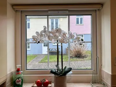 a window with a flower in a vase at Dog Friendly Holiday Home in Newquay Cornwall in Newquay