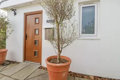 a potted tree in a pot in front of a house at Hilbre in Padstow