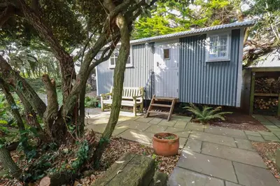 a small shed with a bench and a tree at Hilbre Shepherd Hut in Padstow