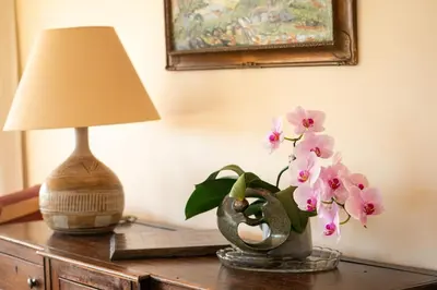 a lamp and a vase of flowers on a table at Peaceful cottage with views - Fairview Cottage in Mylor Bridge