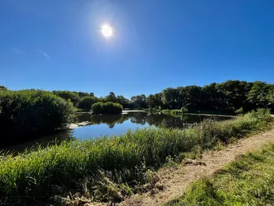 a view of a river with the sun in the sky at Myrtle Grove in Saint Endellion