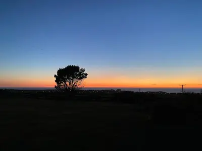 a silhouette of a tree in a field at sunset at Buntings Cottage at Trenale Court Cottages in Tintagel
