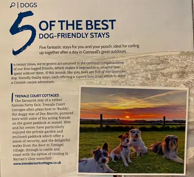 a flyer with three dogs sitting in the grass at Buntings Cottage at Trenale Court Cottages in Tintagel