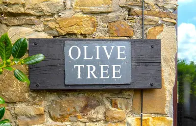 a sign that reads alive tree on a stone wall at Finest Retreats - Olive Tree in Widemouth Bay