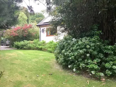 a garden with a small house and some bushes at Poldurn in St Austell