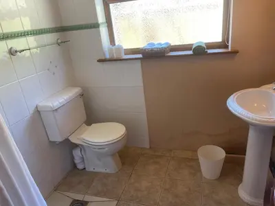 a bathroom with a toilet and a sink at Poldurn in St Austell