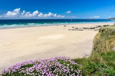 a beach with purple flowers and the ocean at The Old Piggery, countryside barn with hot tub in Leedstown