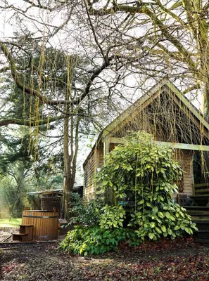 a house with a large bush in front of it at The Beech Hut, Wood Fired Hot Tub, St Kew Escapes in Saint Kew