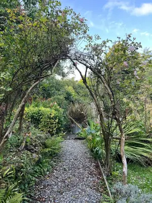 a path through a garden with trees and plants at The Beech Hut, Wood Fired Hot Tub, St Kew Escapes in Saint Kew