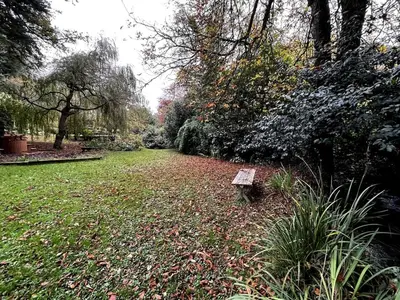 a bench sitting in the middle of a park at The Beech Hut, Wood Fired Hot Tub, St Kew Escapes in Saint Kew