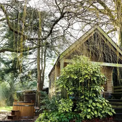 The Beech Hut