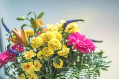 a bouquet of colorful flowers in a vase at The Attic, Tre-Pol-Pen in St Ives