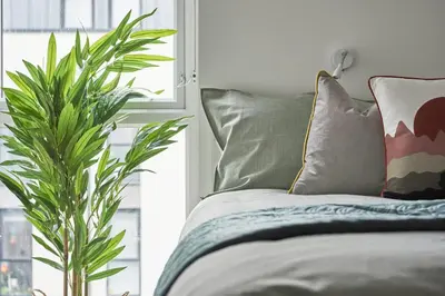 a bed with pillows and a plant next to a window at Contemporary Student-Only Apartments at The Quarry, Falmouth in Falmouth