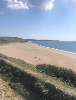a beach with a dog walking on the sand at Cornwall Shepherds Hut - Hot Tub & Cosy Log Burner in Saint Day
