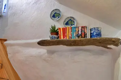 a shelf with books and a plant on a wall at Finest Retreats - Spray Barn in Saint Ervan