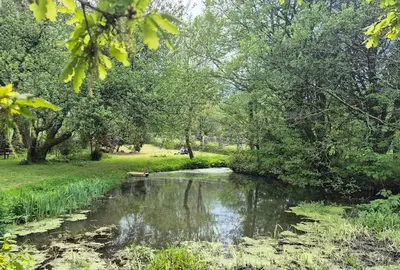 a river in a park with trees and a field at The Granary -Trewen in Trewen