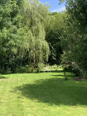 a park with a bench in the middle of a field at The Granary -Trewen in Trewen