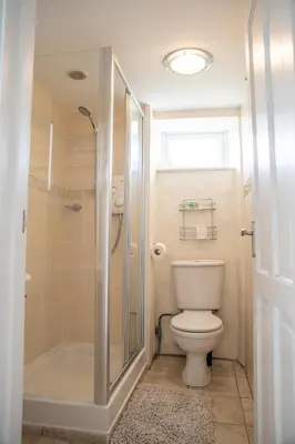 a bathroom with a toilet and a shower at Tregaddra Farm B&B in Helston