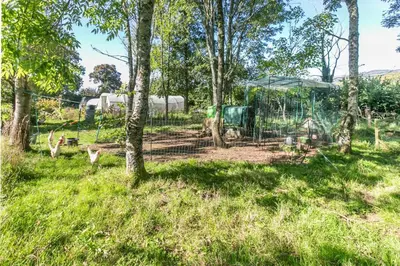a cage with deer in a field with trees at 1 Bed in St. Austell oc-b33396 in St Austell