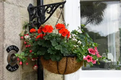 a hanging basket of flowers on a window at Cliftons Guest House in Truro