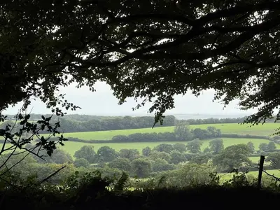 a view of a green field from under a tree at The Haven in Trewen