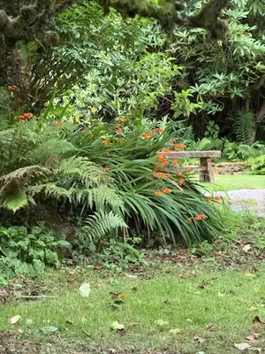 a park with a bench and some plants and flowers at The Haven in Trewen