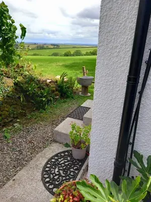 a garden with a bird feeder and some plants at The Haven in Trewen