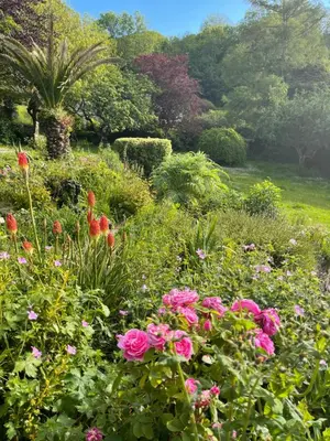 a garden with pink roses and other flowers at Beautiful Perranporth country house near the beach in Perranzabuloe