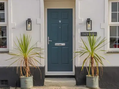 two potted plants in front of a blue door at Trewenna in Tregoney