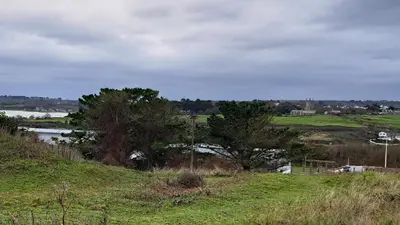 a grassy hill with trees and a body of water at D05 Cedrica, Riviere Towans in Hayle