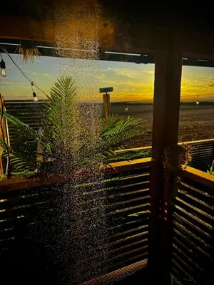 a view of the ocean from a window with a plant at The Secret Garden Glamping Cornwall in Cury
