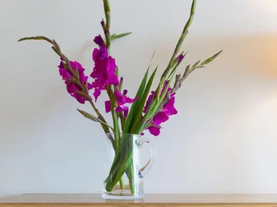 a glass vase filled with purple flowers on a table at Mid Air in St Ives