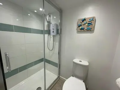 a bathroom with a shower stall and a toilet at Sandown 4 bedroom house St Teath in Saint Teath