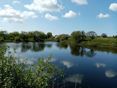 a river with trees and clouds in the sky at Barn Cottage in Saint Breward