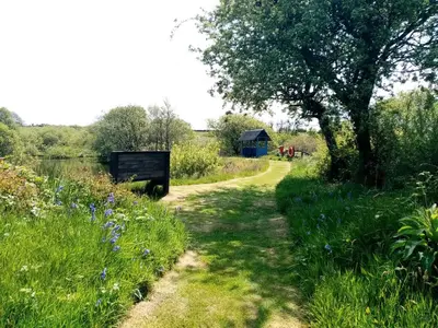 a path through a field with flowers and a tree at Barn Cottage in Saint Breward