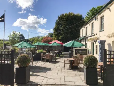 a patio with tables and chairs and green umbrellas at Orchard View in St Austell