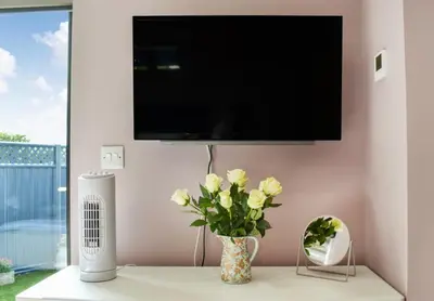 a living room with a tv and a vase with flowers at Pentarow Barn in Falmouth
