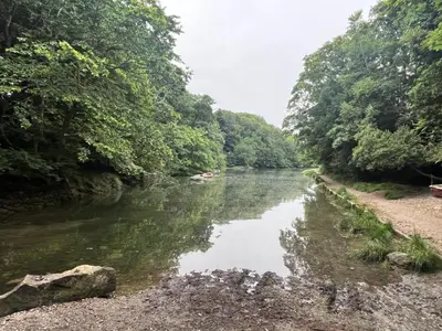 a river with trees on both sides of it at 26 The Green Captains Cabin in Crantock