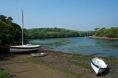 three boats sitting on the shore of a river at Holly in Kea