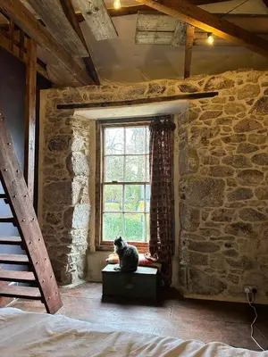 a cat sitting on a chest in front of a window at Tin Miners Captain Georgian hs, parking, Logburner in Camborne