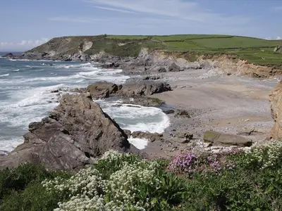 a view of a beach with rocks and flowers at Little Content Farm Cottage in Cury