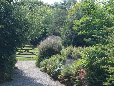 a garden with plants and trees and a path at Holiday Home Idyllisches Landhaus Rosemary by Interhome in Liskeard