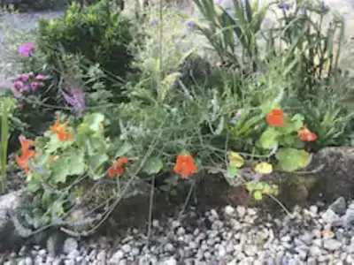 a garden with flowers and plants on rocks at Holiday Home Idyllisches Landhaus mit wunderschönem Garten by Interhome in Liskeard