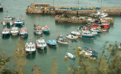 a bunch of boats are docked in a harbor at Cosy three bedroom holiday home in Parkdean Newquay in Newquay
