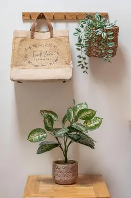 a plant sitting on a table next to a suitcase at Swift Barn Lambest Farm Menheniot Cornwall in Menheniot
