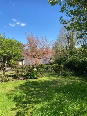 a yard with green grass and trees and a house at Caldarvan in Wadebridge