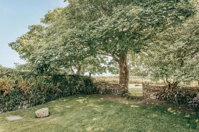 a tree in a yard with a stone fence at Romantic Converted Barn Perfect St Agnes Location in St. Agnes