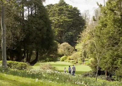 a group of three people walking through a park at Bright Flat with Estuary Views & Parking Falmouth in Falmouth