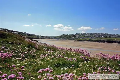 a field of flowers on a hill next to a river at Sunshine Retreat Wadebridge in Wadebridge
